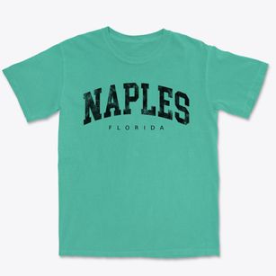 Naples Florida Urban Vibe Premium Heavyweight T-shirt