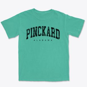 Pinckard Alabama Urban Vibe Premium Heavyweight T-shirt