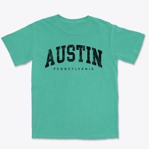 Austin Pennsylvania Urban Vibe Premium Heavyweight T-shirt