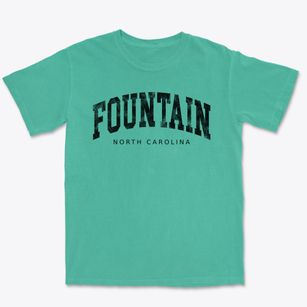 Fountain North Carolina Urban Vibe Premium Heavyweight T-shirt