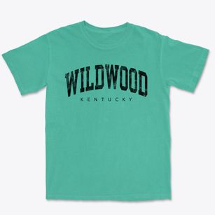 Wildwood Kentucky Urban Vibe Premium Heavyweight T-shirt