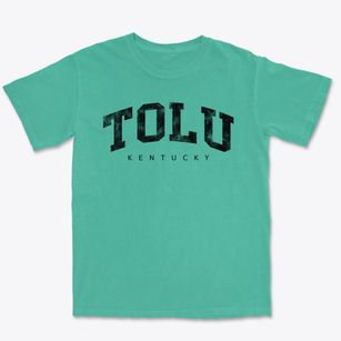 Tolu Kentucky Urban Vibe Premium Heavyweight T-shirt