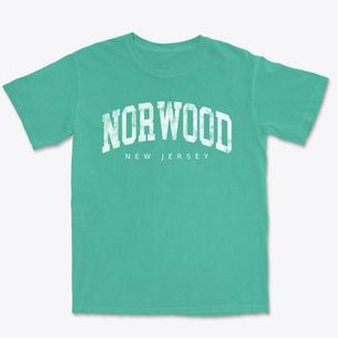 Norwood New Jersey Urban Vibe Premium Heavyweight T-shirt