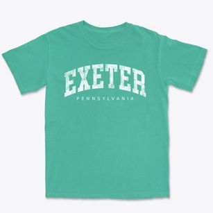 Exeter Pennsylvania Urban Vibe Premium Heavyweight T-shirt
