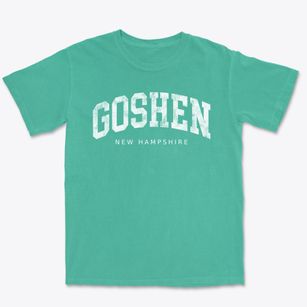 Goshen New Hampshire Urban Vibe Premium Heavyweight T-shirt