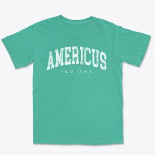 Americus Indiana Urban Vibe Premium Heavyweight T-shirt