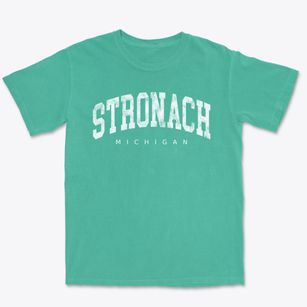 Stronach Michigan Urban Vibe Premium Heavyweight T-shirt