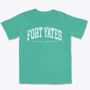 Fort Yates North Dakota Urban Vibe Premium Heavyweight T-shirt