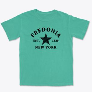Fredonia New York Star Premium Heavyweight T-shirt