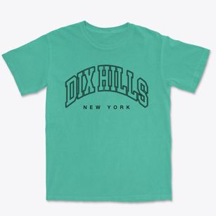 Dix Hills New York Inline Premium Heavyweight T-shirt