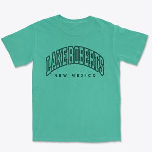Lake Roberts New Mexico Inline Premium Heavyweight T-shirt