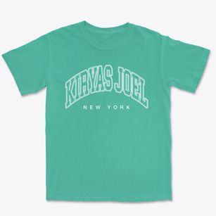 Kiryas Joel New York Inline Premium Heavyweight T-shirt