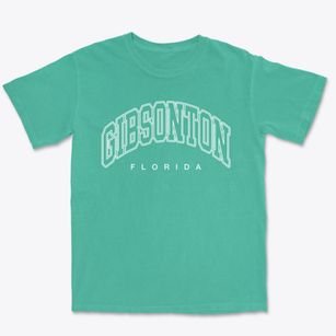 Gibsonton Florida Inline Premium Heavyweight T-shirt