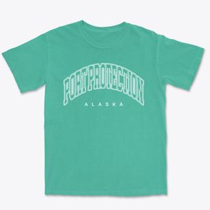 Port Protection Alaska Inline Premium Heavyweight T-shirt