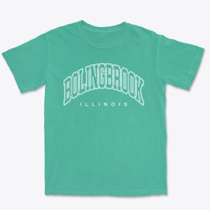 Bolingbrook Illinois Inline Premium Heavyweight T-shirt