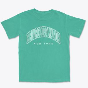 Briarcliff Manor New York Inline Premium Heavyweight T-shirt