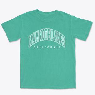 Mammoth Lakes California Inline Premium Heavyweight T-shirt