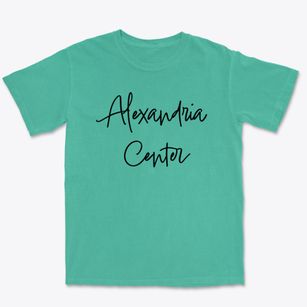 Alexandria Center New York Freestyle Premium Heavyweight T-shirt