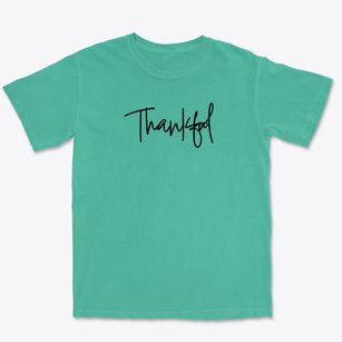 Thankful North Carolina Freestyle Premium Heavyweight T-shirt