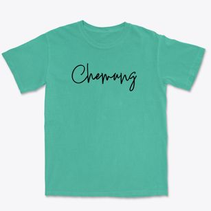 Chemung Pennsylvania Freestyle Premium Heavyweight T-shirt