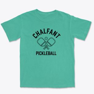 Chalfant Pennsylvania Pickleball Premium Heavyweight T-shirt