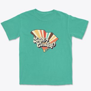  South Carolina Retro Art Premium Heavyweight T-shirt