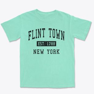 Flint Town New York Classic Established Premium Heavyweight T-shirt