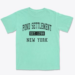 Pond Settlement New York Classic Established Premium Heavyweight T-shirt