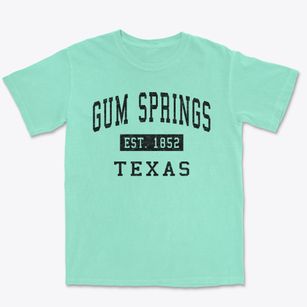 Gum Springs Texas Classic Established Premium Heavyweight T-shirt