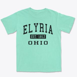 Elyria Ohio Classic Established Premium Heavyweight T-shirt