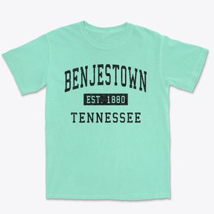 Benjestown Tennessee Classic Established Premium Heavyweight T-shirt