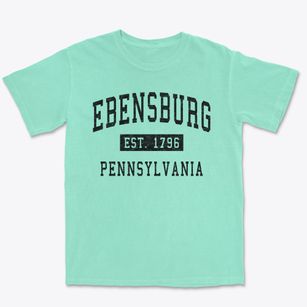 Ebensburg Pennsylvania Classic Established Premium Heavyweight T-shirt