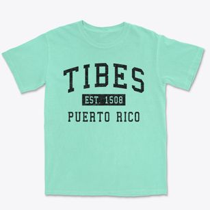 Tibes Puerto Rico Classic Established Premium Heavyweight T-shirt
