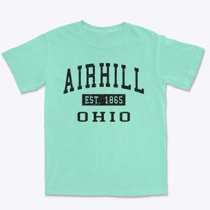 Airhill Ohio Classic Established Premium Heavyweight T-shirt