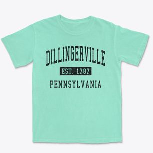 Dillingerville Pennsylvania Classic Established Premium Heavyweight T-shirt