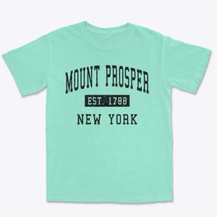Mount Prosper New York Classic Established Premium Heavyweight T-shirt