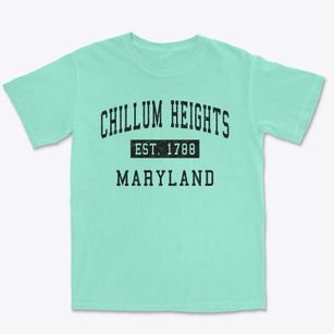 Chillum Heights Maryland Classic Established Premium Heavyweight T-shirt