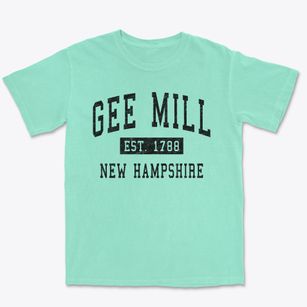 Gee Mill New Hampshire Classic Established Premium Heavyweight T-shirt