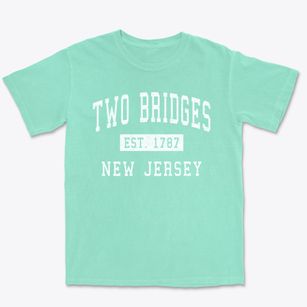Two Bridges New Jersey Classic Established Premium Heavyweight T-shirt