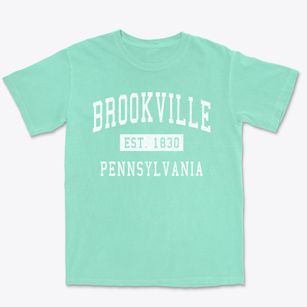 Brookville Pennsylvania Classic Established Premium Heavyweight T-shirt