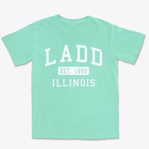 Ladd Illinois Classic Established Premium Heavyweight T-shirt
