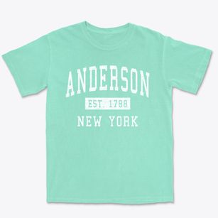 Anderson New York Classic Established Premium Heavyweight T-shirt