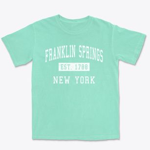 Franklin Springs New York Classic Established Premium Heavyweight T-shirt