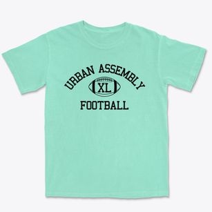 Urban Assembly Law & Justice Classic Football Premium Heavyweight T-shirt