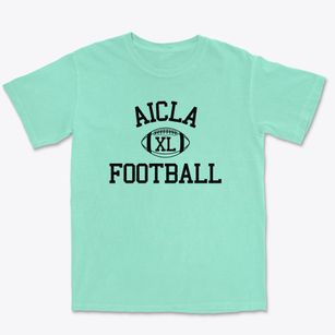 Art Institute Of California Los Angeles Classic Football Premium Heavyweight T-shirt