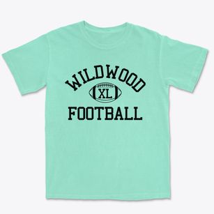 Wildwood Campus Of Harrisburg Area Commu Classic Football Premium Heavyweight T-shirt