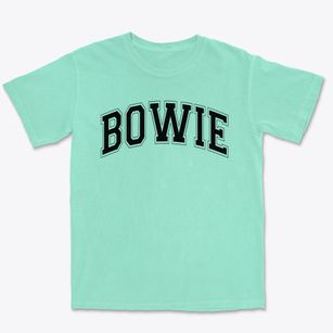 Bowie Elementary School Varsity Arch Premium Heavyweight T-shirt