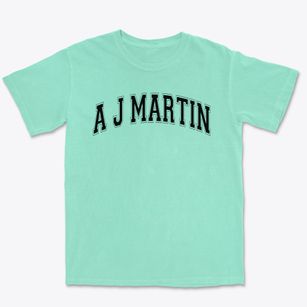 A J Martin Elementary School Varsity Arch Premium Heavyweight T-shirt