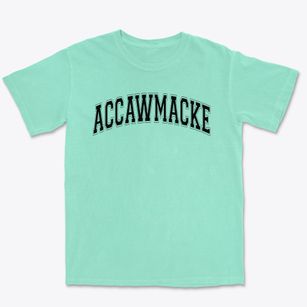 Accawmacke Elementary School Varsity Arch Premium Heavyweight T-shirt