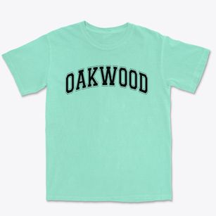 Oakwood Elementary School Varsity Arch Premium Heavyweight T-shirt